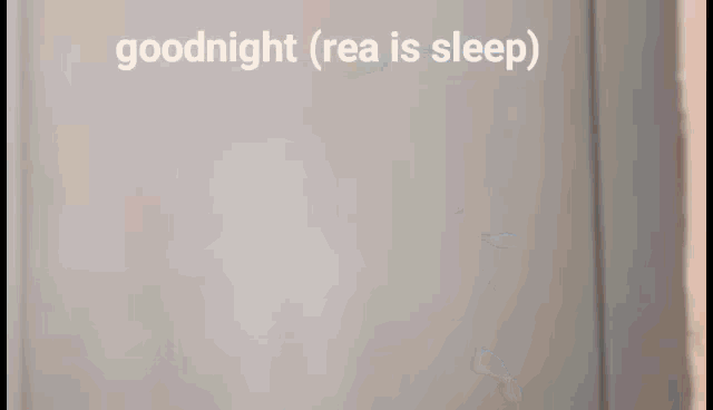 Rea Reasmb GIF - Rea Reasmb Goodnight Rea GIFs