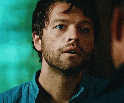 a close up of a man 's face with a beard wearing a blue shirt .