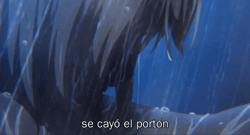 a blue background with the words se cayo el porton in white