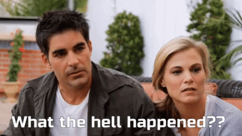 Galengering Venice GIF - Galengering Venice Whatthehell GIFs