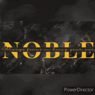 a black background with yellow lines and the words power director