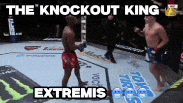 the knockout king extremis is displayed on a boxing ring