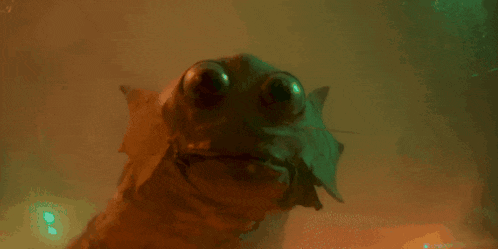 a close up of a worm with big eyes