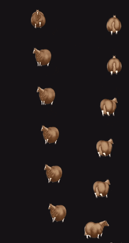 a row of sheep are walking in a row on a black background