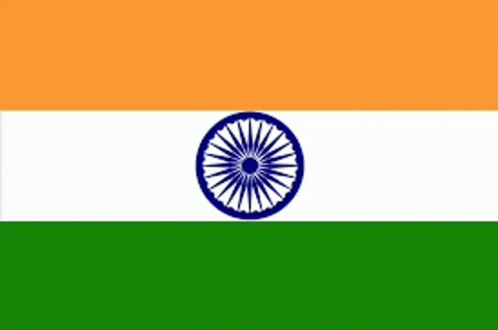 India Flag GIF - India Flag GIFs