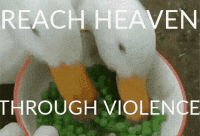 a picture of a duck eating peas with the words " reach heaven through violence " above it