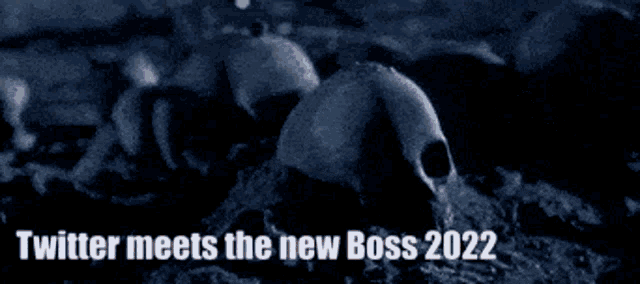 Twitter Meet The New Boss GIF - Twitter Meet The New Boss Shut The Door GIFs