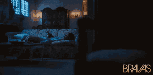 a woman sits on a couch in a dark room with bravas written in the corner