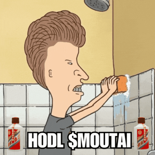 a cartoon of a man holding a sponge with the words hodl smoutai on the bottom
