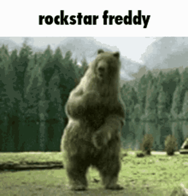 a bear is standing on its hind legs in a field with the words rockstar freddy above it .