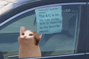 a cat in a car with a sign that says " the a/c is on "
