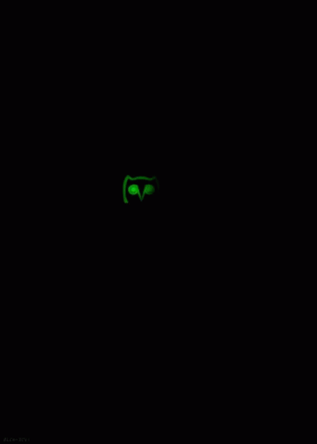 Neon Owl GIF - Neon Owl GIFs