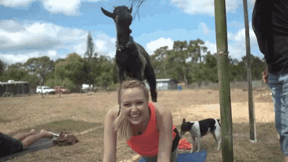 a woman is doing a yoga pose with a goat on her back