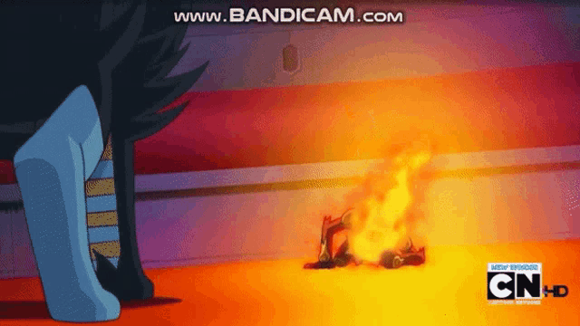 a cartoon shows a person laying on the ground in front of a fire and the words www.bandicam.com at the bottom