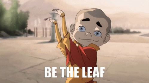 Be The Leaf Dance GIF - Be The Leaf Dance Moves GIFs