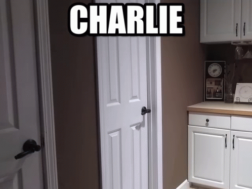 Charlie Dax Flame GIF - Charlie Dax Flame GIFs