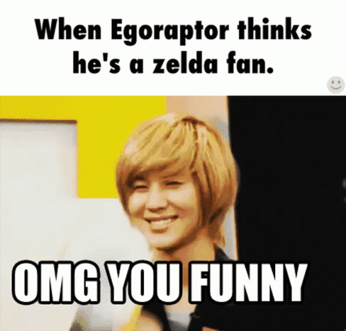 Egoraptor Zelda GIF