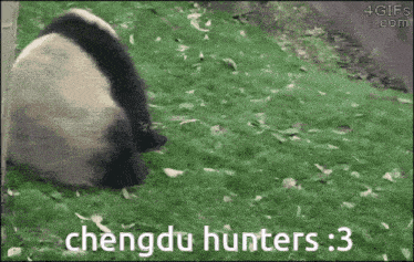 Panda Chengdu GIF - Panda Chengdu Chengdu Hunters GIFs