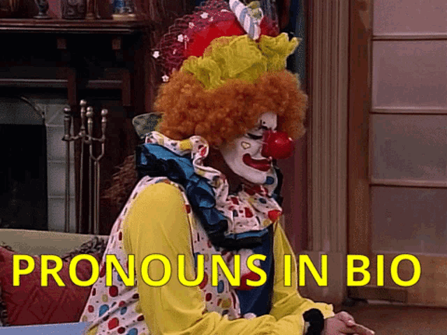 a man dressed as a clown with pronouns in bio written above him