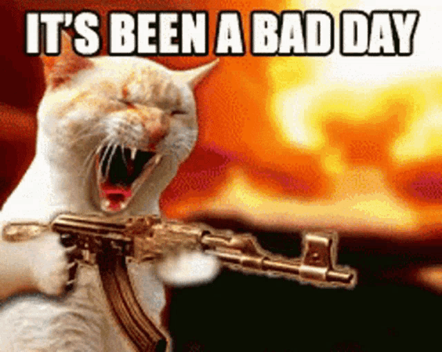 a cat holding a gun with the words it 's been a bad day