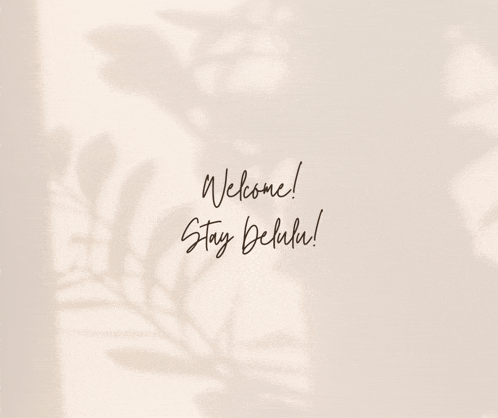 the shadow of a plant is cast on a wall and the words welcome stay delulu are written on it .