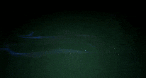 The First Descendant Bunny GIF