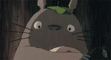Totoro GIF - Totoro GIFs