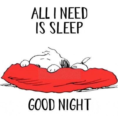 a cartoon of snoopy sleeping on a red pillow with the words all i need is sleep good night