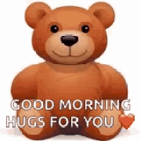 a brown teddy bear is sitting down and says `` good morning hugs for you '' .