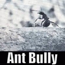 Bully Meanie GIF - Bully Meanie Ant Bully GIFs