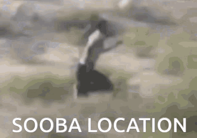 Running Sooba GIF - Running Sooba Sooba Location GIFs