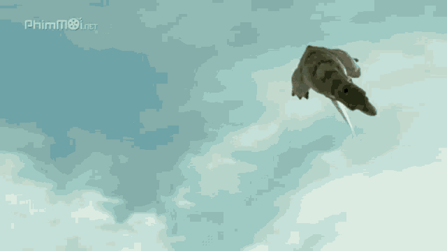 a t-rex is flying through a cloudy blue sky .