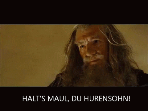Halts Maul Du Hurensohn - Halts Maul GIF - Halts Maul Halts Maul GIFs
