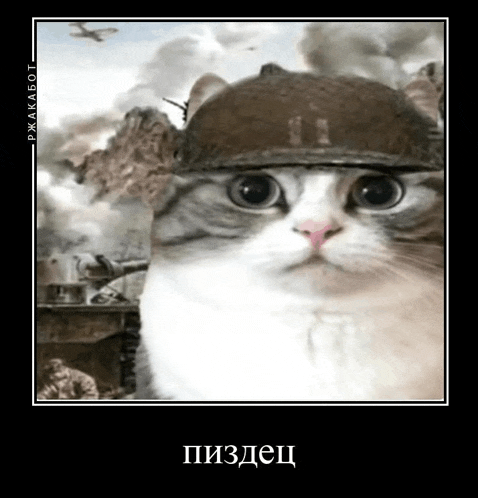 a picture of a cat wearing a military helmet with russian writing on the bottom