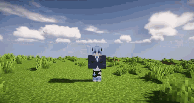 a minecraft character stands in a field of grass