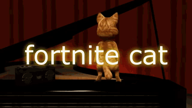 Fortnite Cat GIF