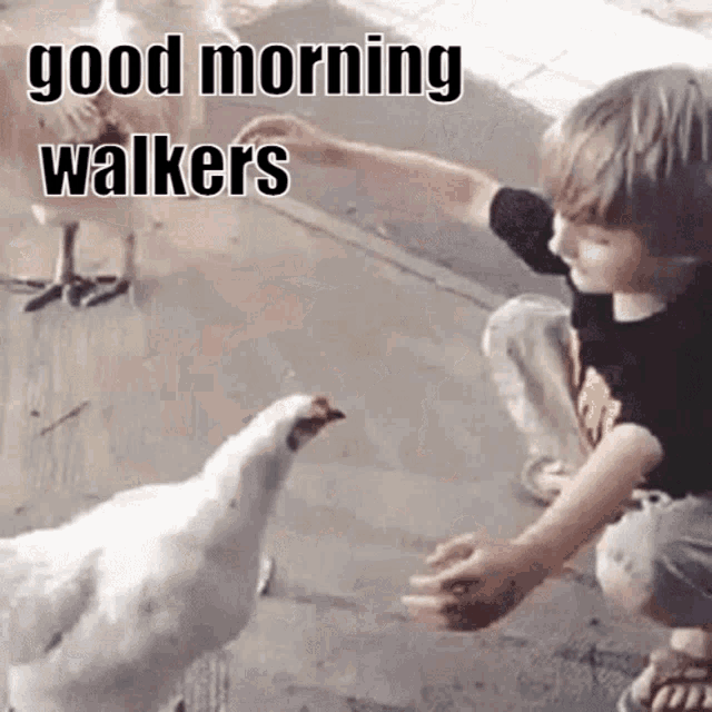 a child reaches out to touch a chicken with the words good morning walkers written above it