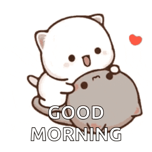 a cartoon cat is hugging another cat with the words `` good morning '' written on the bottom .