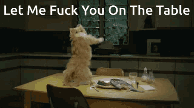 a cat is standing on its hind legs on a table with the words let me fuck you on the table below it