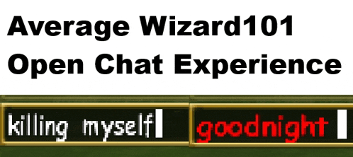 a sign that says average wizard101 open chat experience killing myself goodnight