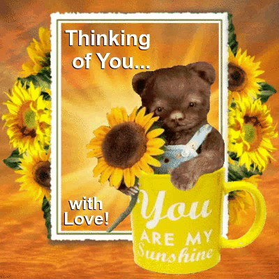a teddy bear holding a sunflower in a yellow mug that says you are my sunshine