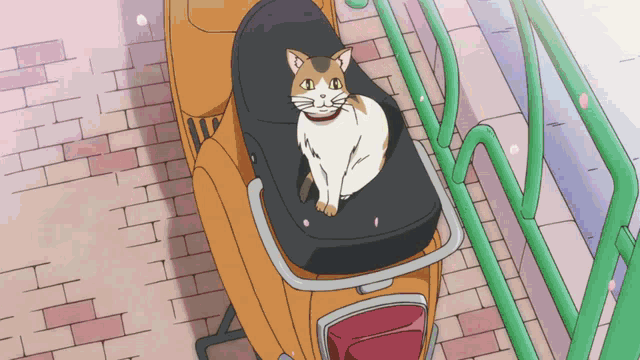 Yuyushiki Anime GIF - Yuyushiki Anime Cat GIFs