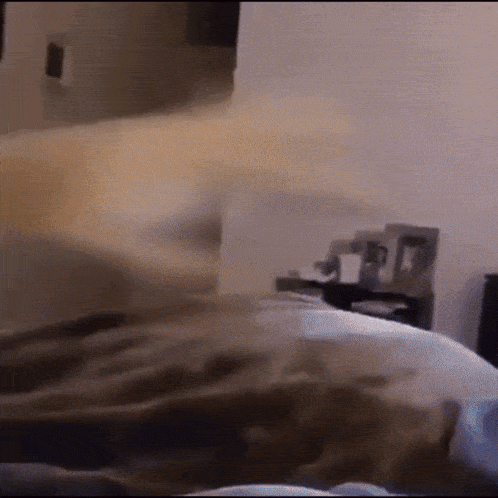 a person is laying on a bed with a blanket on it