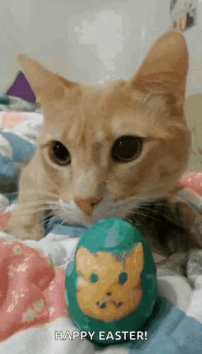 a cat laying on a bed next to an easter egg