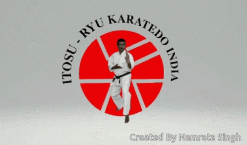 Jogy Abraham Itosu Ryu GIF - Jogy Abraham Itosu Ryu Karate GIFs