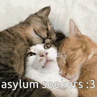 Asylum Seekers GIF - Asylum Seekers GIFs