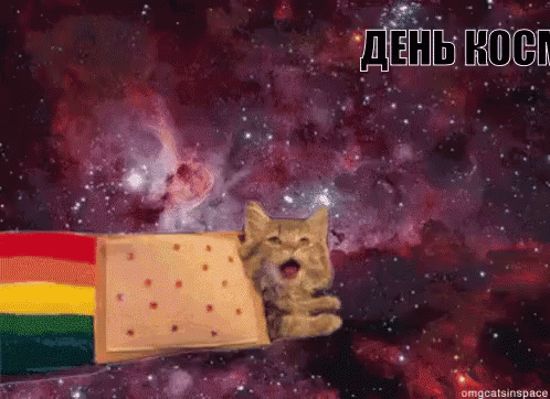 денькосмонавтики космос кот кошара GIF - Cat Space Flying GIFs