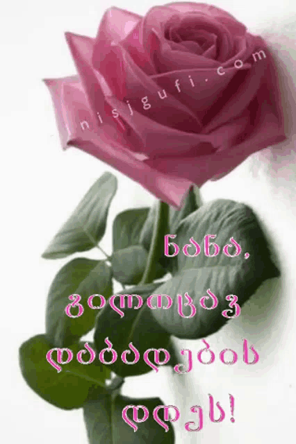 a pink rose is surrounded by green leaves and a message in a foreign language