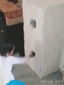 Where Are You Cat, Lets Play! GIF - Cat Baby Whereareyou GIFs
