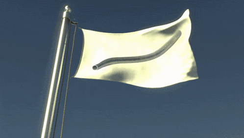 a white flag is waving in the wind
